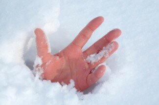 news-blizzardshopping-hand