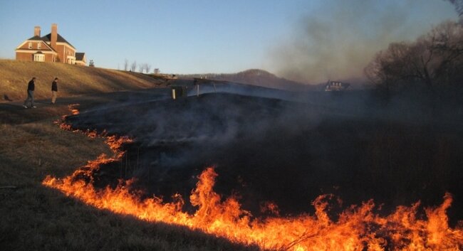 The fire began crawling through fields and forests on February 19.