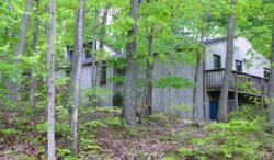 98 Wild Flower Drive - 3BR, 3 full baths, 4230 sq. ft., .76 acres, asking price: $240,000, assessement: $289,000, Alice Nye Fitch, Montague Miller %2526amp; Co., 434-981-4562