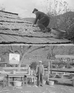 Drying apples, %2526quot;one of the few sources of income for mountain folk,%2526quot; and a cider and apple stand on Lee Highway near the northern tip of the park.