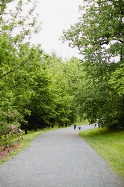 Take your trike, bike, or wagon up to the Saunders-Monticello Trail (no. 18)