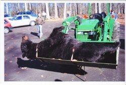 In the fall of 2006, an Augusta County man tangled with a 600 pound black bear he%2526#039;d shot but initially failed to kill. Saved by his hunting companions, his wounds required multiple surgeries.
