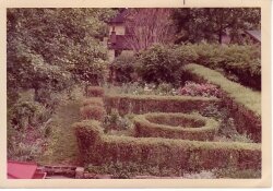 Peachie created this small garden room, or parterre, behind the house on Dice Street, and tended it carefully until his death. 