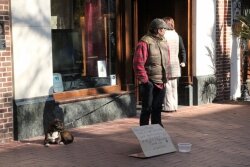 The neighborhood survey found that 430 respondents had decreased their trips to the Mall, and that 48 percent reported feeling %2526quot;unsafe and uncomfortable%2526quot; on the Mall, with 27 percent mentioning the increased presence of panhandling and the homeless.