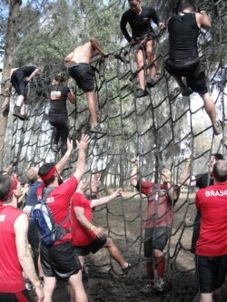 At a 2011 Tough Mudder in Dade County, Florida, participants struggle over an obstacle. Teamwork is critical-- and, past participants of such races say, the camaraderie is one of the best parts of mud races.