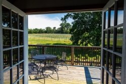 The view of the vineyard from the patio at Meriwether Springs. 