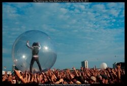 Flaming Lips lead singer Wayne Coyne rides the crowd in his bubble.