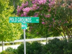 A stretch of county road 643, otherwise known as Polo Grounds Road, is one of several county roads VDOT plans to spray with herbicide. 