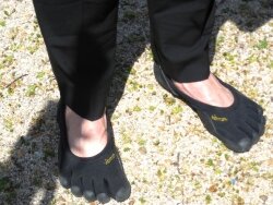 And these are the shoes-- Vibram FiveFingers-- in which Palmer intends to walk the district.