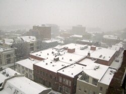 Downtown Charlottesville as seen around 8:29am on Monday.