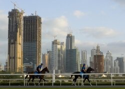 Horses ride through Dubai in Paul Wagner%2526#039;s newest documentary %2526quot;Thoroughbred.%2526quot;